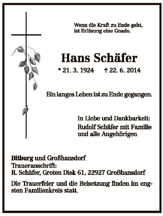 Herr Hans Schäfer