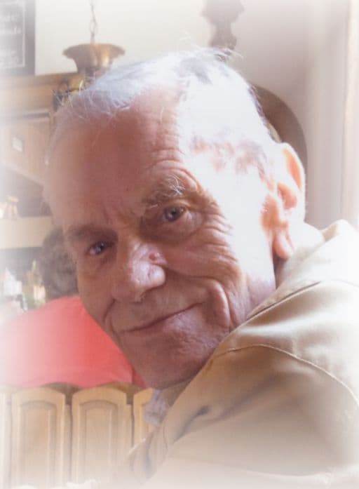 Herr Fritz Schenkel