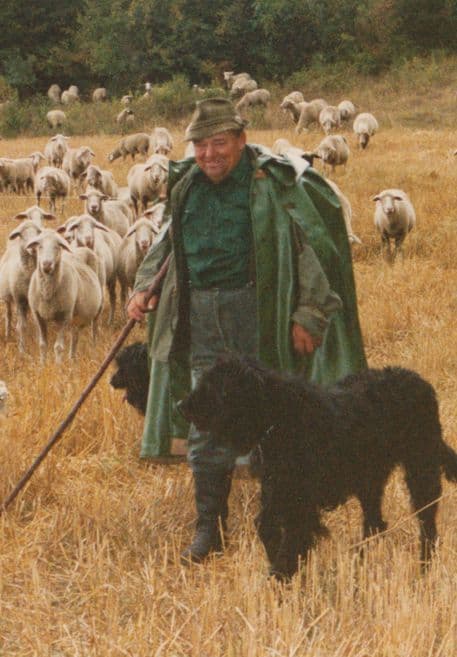 Herr Georg Schickentanz
