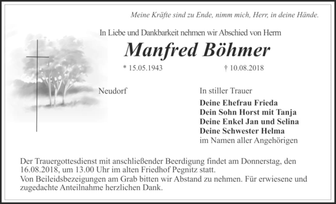 Herr Manfred Böhmer