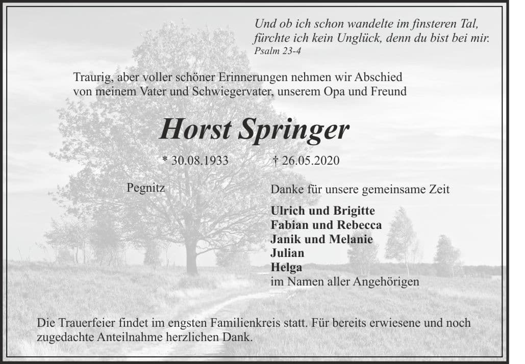 Herr Horst Springer